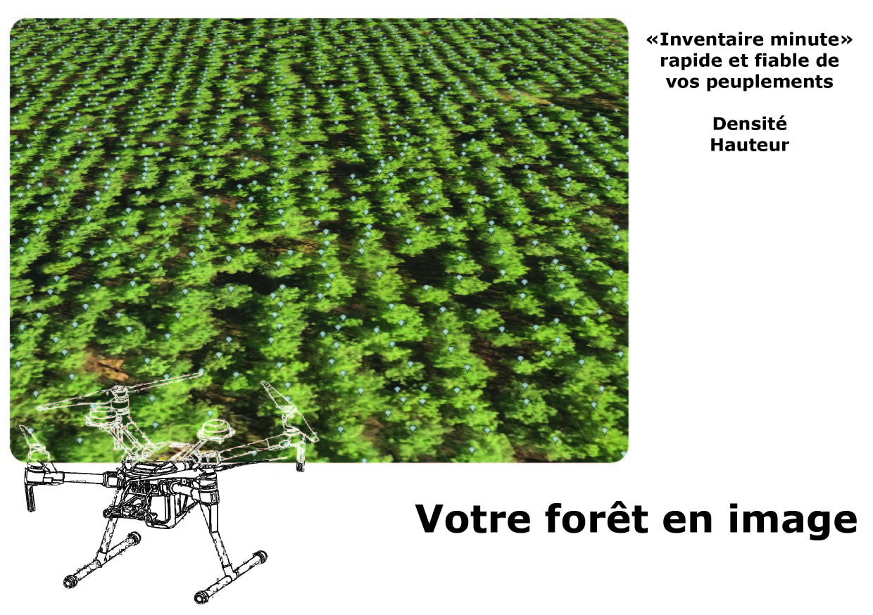 Inventaire forestier par drone Inventaire forestier par drone